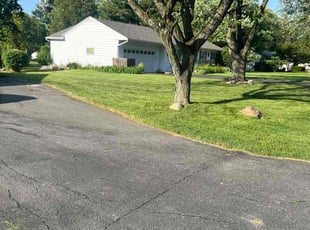 Michael B.'s Lawn Care service result