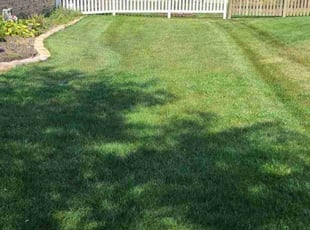 Steve B.'s Lawn Care service result
