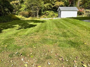 Tabitha S.'s Lawn Care service result