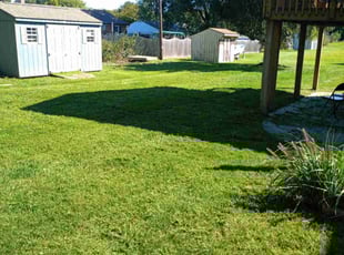 Jennifer N.'s Lawn Care service result