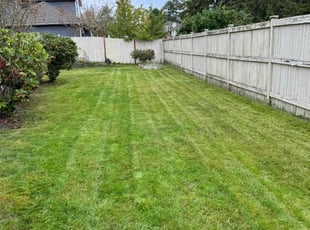 Ishan A.'s Lawn Mowing Service service result