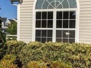 Bush Trimming by Tillman Heuer for Jonathan C. in Virginia Beach, VA
