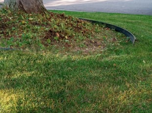 Cleanups by Michael Wright for Terry F. in West Bloomfield Township, MI