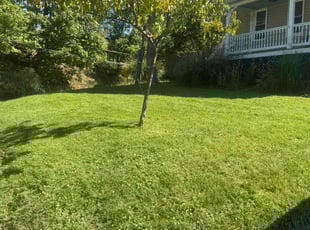 Brian L.'s Yard Cutting service result