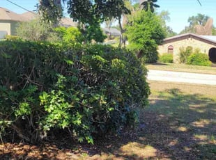 Bush Trimming by Jovan Johnson for Thomas S. in Lakeland, FL