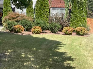 Juan C.'s Lawn Service service result