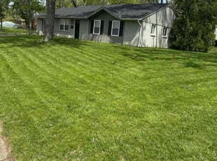 Sandra G.'s Lawn Service service result