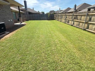 Susan B.'s Lawn Mowing service result