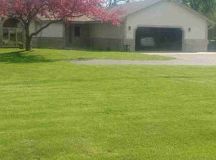 Peter A.'s Grass Cutting service result