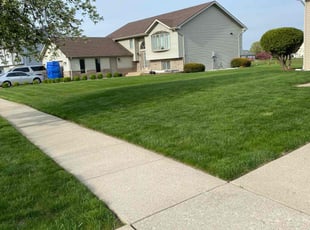 Jolene H.'s Lawn Maintenance service result