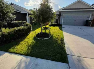 Darla H.'s Lawn Care service result