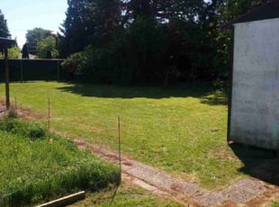 Shelly B.'s Lawn Mowing service result