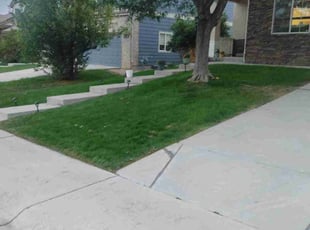 Joyce R.'s Lawn Service service result