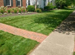 Richard R.'s Lawn Mowing service result