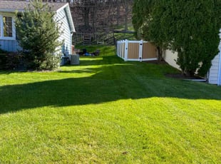 William M.'s Lawn Mowing service result