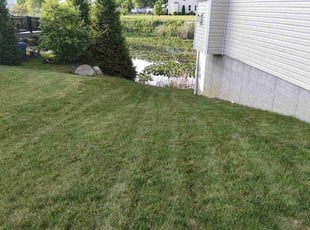 TRAVIS E.'s Lawn Mowing service result
