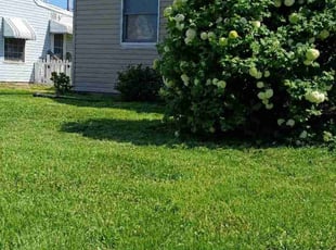 Heather M.'s Lawn Care service result
