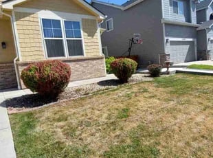 Bush Trimming by Trent Young for Jessica L. in Henderson, CO