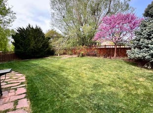 Anais V.'s Lawn Maintenance service result