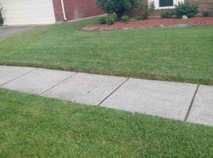 Susan W.'s Grass Cutting service result