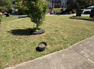 Scottie M.'s Lawn Maintenance service result