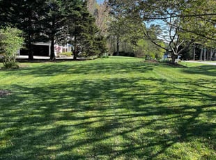 Nikalus A.'s Lawn Maintenance service result