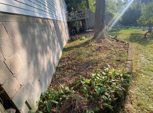 Bush Trimming by Valentin Velasco for Denise B. in Grand Rapids, MI