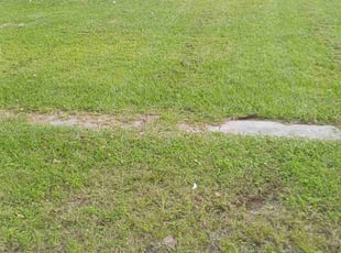 Joycelyn M.'s Lawn Service service result