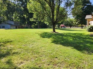 Timothy D.'s Lawn Care service result