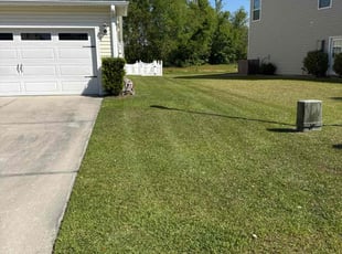 Van T.'s Lawn Care service result