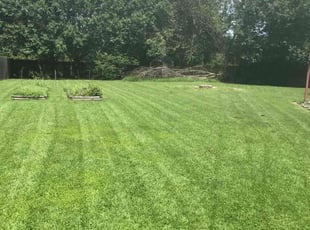 Lillie S.'s Grass Cutting service result