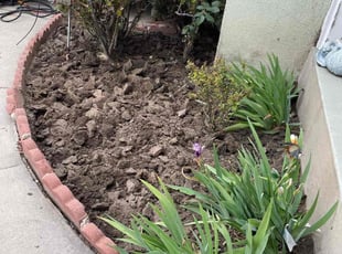 Monique A.'s Weeding service result