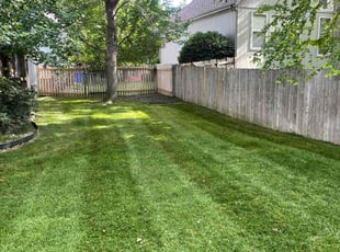 Lisa M.'s Lawn Mowing service result