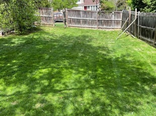 Paula R.'s Lawn Mowing service result