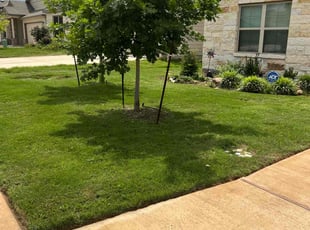 Jimmy w.'s Lawn Service service result