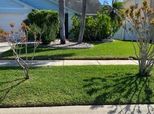 GINA B.'s Yard Cutting service result