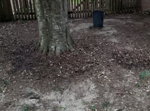 Leaf Removal by Timothy Goodin for Andrew W. in Pensacola, FL