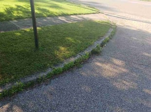 Bush Trimming by William Nelson for Shelia P. in Youngstown, OH