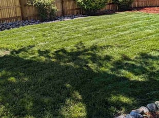 Shari R.'s Lawn Mowing Service service result