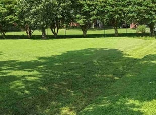 Michael P.'s Lawn Care service result