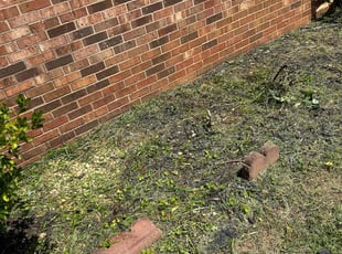 Weeding by Nyasia Gattison for Janai G. in Clemmons, NC