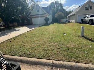Chrysanthi H.'s Grass Cutting service result