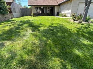 Lesley K.'s Lawn Mowing service result