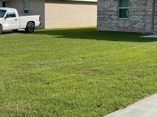 Susan M.'s Lawn Mowing service result