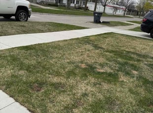 Kerriston W.'s Lawn Service service result
