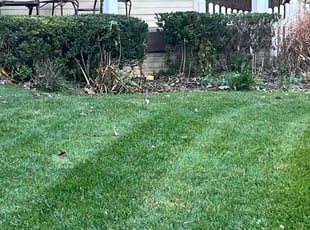 Bush Trimming by Jason Scott for Heather R. in Gaithersburg, MD