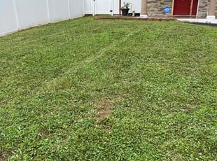 Travis W.'s Lawn Care service result