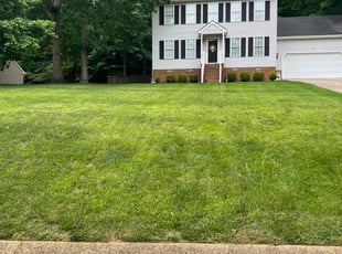 Helen M.'s Lawn Mowing service result
