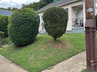 Hunter S.'s Lawn Care service result