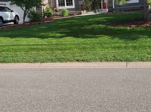 Alesia B.'s Lawn Maintenance service result